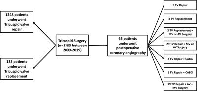 Right coronary artery deformation and injury following tricuspid valve surgery